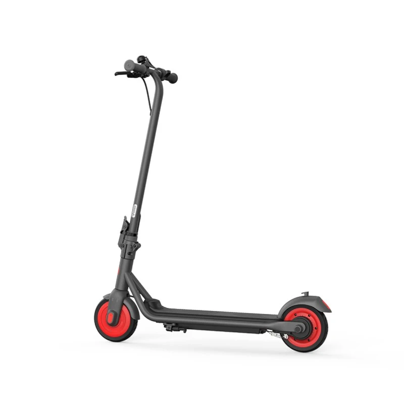 Ninebot Segway Zing C20 Kids Electric Scooter